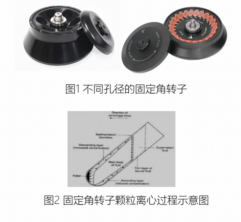 D(zhun)�?1.jpg